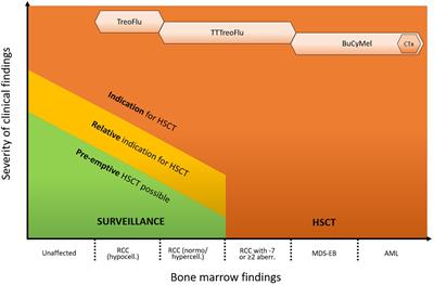 The different faces of GATA2 deficiency: implications for therapy and surveillance